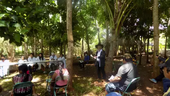 Debido al despojo de las hectáreas podrían perder su cosecha la cual cuenta con 500 plántulas de papaya maradol Debido al despojo de las hectáreas podrían perder su cosecha la cual cuenta con 500 plántulas de papaya maradol