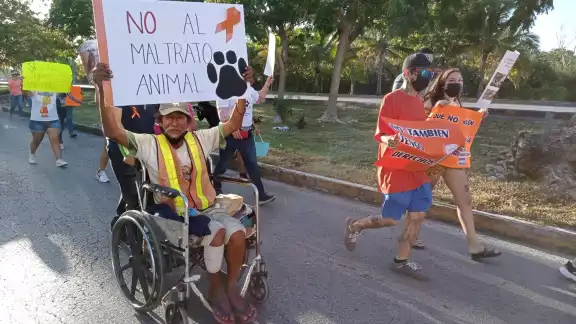 Hombres, mujeres y niños, con pancartas en mano, van pidiendo pare todo tipo de abuso que se ejerce en contra de los animales Hombres, mujeres y niños, con pancartas en mano, van pidiendo pare todo tipo de abuso que se ejerce en contra de los animales