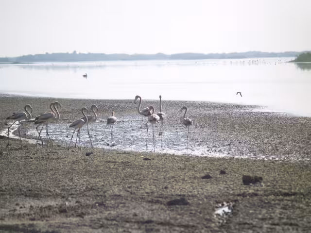 Al pasar de los años, las personas comenzaron a dedicarse a la pesca y fueron abandonando la extracción de sal, una de las actividades más fuertes del lugar