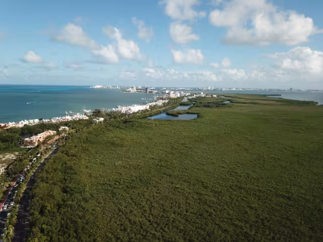Yucatán es el que más tierras afectadas suma; Campeche posee mayor porcentaje de áreas vírgenes