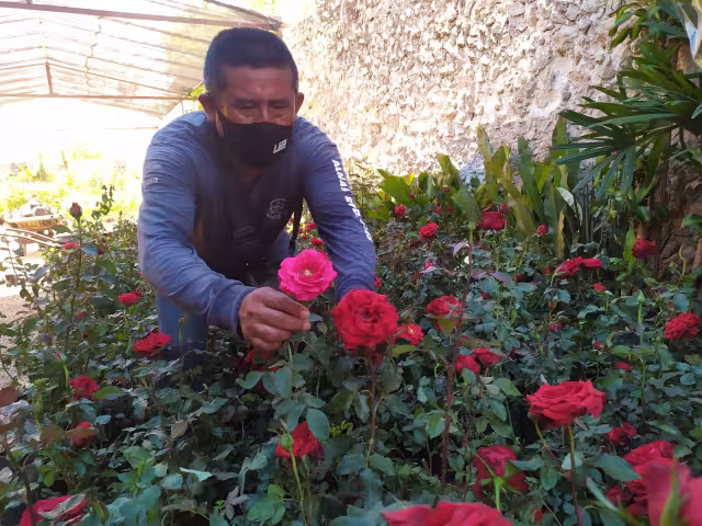 Esperan tener buenas ventas durante el Día de las Madres