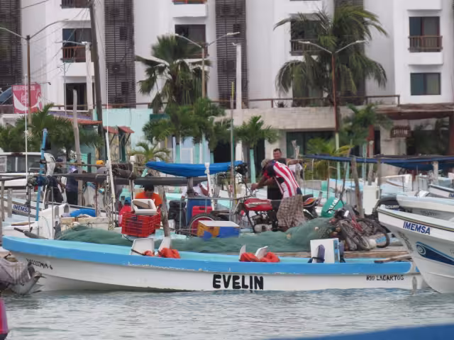 De los 12 mil pescadores que integran el padrón de Yucatán, 2 mil se dedican a la pesca furtiva