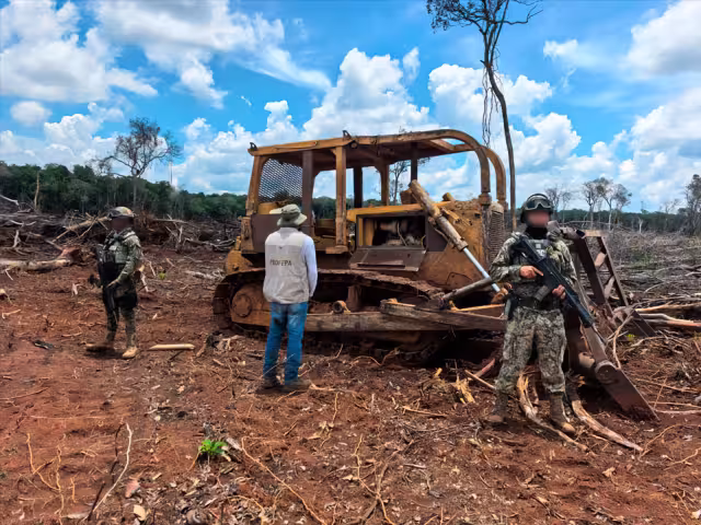 Alcalde exige sanciones reales por pérdida acelerada de selva en Hopelchén