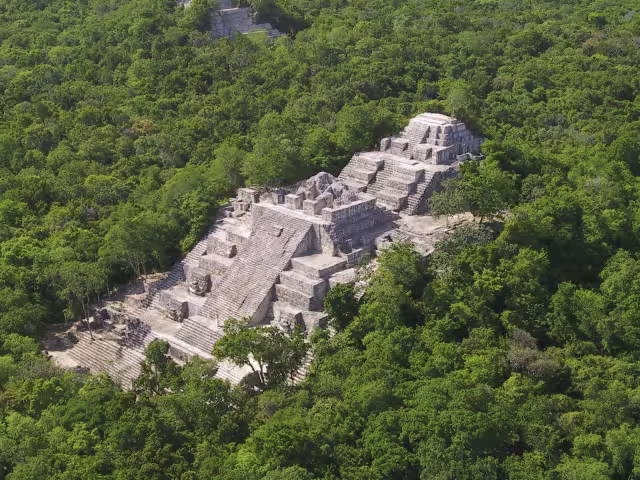 La zona arqueológica de Calakmul se ubica dentro de la Reserva de la Biosfera homónima, en la Región de los Petenes en Campeche