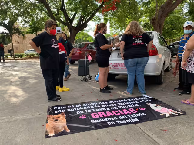 Inicia marcha por un México Libre de violencia contra los animales en Mérida