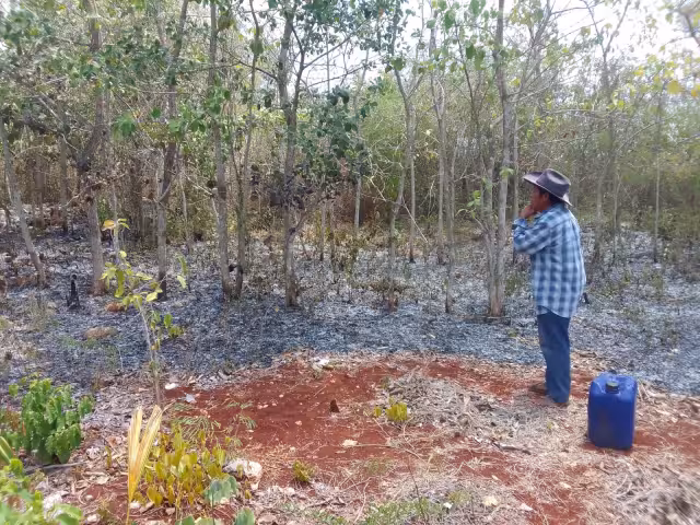 Cenobio Cen, responsable del lugar, señaló que el siniestro inició en los terrenos de la exmaquiladora, a la entrada del poblado