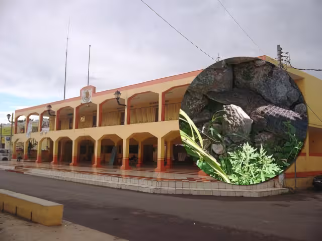 Varias serpientes han sido encontradas en calles de Hoctún
