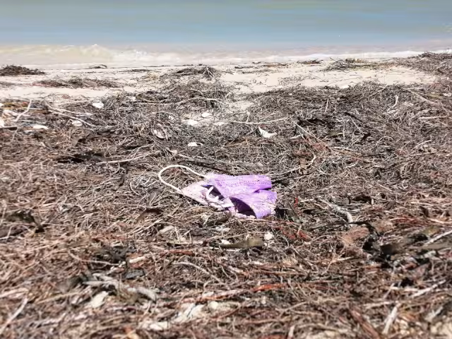 Bañistas inconscientes dejan cubrebocas en playas