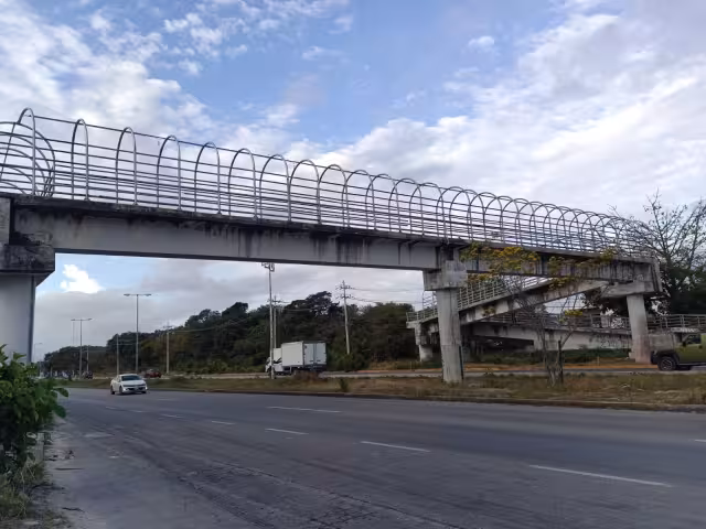 Desde que se construyó, el puente no ha recibido mantenimiento.
