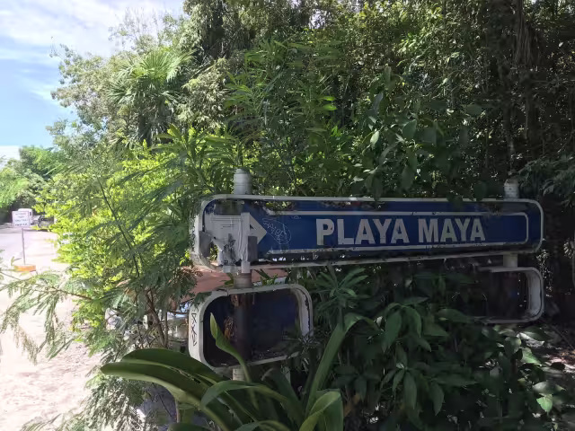 De las 47 playas de interés que monitorea la Semar, cinco se encuentran en Tulum y sólo dos están limpias de sargazo