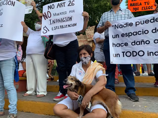 ctivistas y líderes de agrupaciones civiles se están manifestando afuera del Ayuntamiento de Mérida