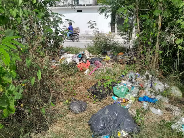 El Departamento de Ecología y Desarrollo Urbano del Ayuntamiento no ha ubicado al dueño del terreno