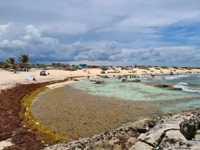 El empresario ofrece un platillo o ceviche, por ayudar a mantener limpias las playas de la Zona Oriental