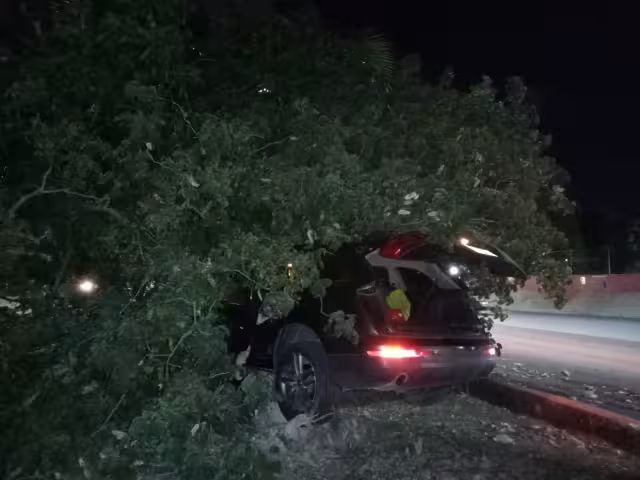 Los vecinos se percataron de los hechos tras escuchar el impacto del vehículo y el llanto del menor