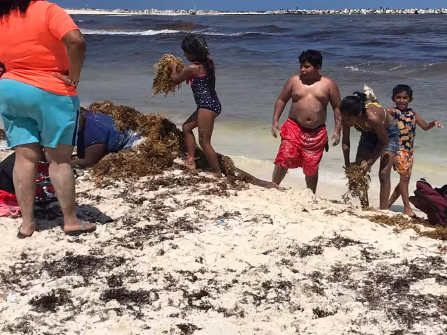 A pesar del sargazo, niños y adultos disfrutaron de la playa
