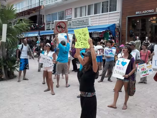 Como parte de un movimiento internacional, el 11 de mayo se realizará una protesta en el Hotel Barceló Grand Maya