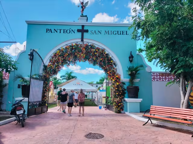 Familias cozumeleñas dan una manita de gato