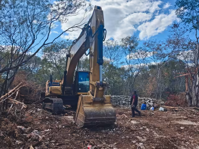 Detectan destrucción de casi tres hectáreas de selva en Yaxcopoil