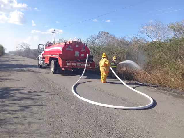 La rápida intervención de los brigadistas ha permitido que estos siniestros se mantengan en la categoría de conatos