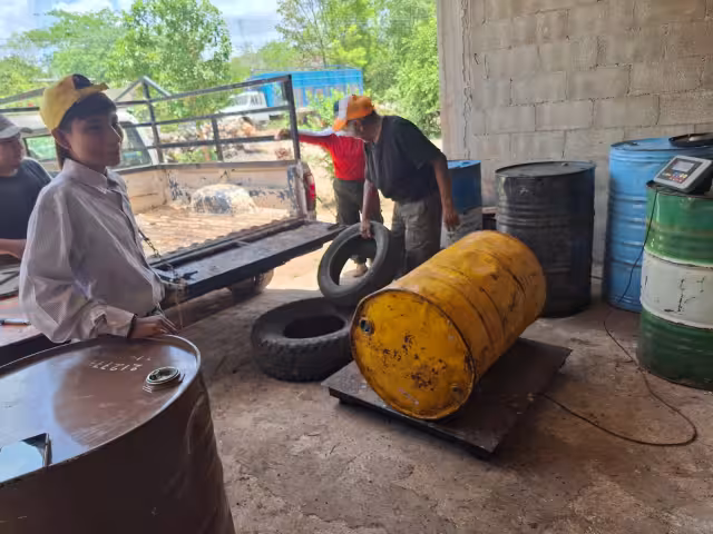 Apicultores de Tenabo enfrentan una fuerte caída en el precio de la miel, que se paga a solo 28 pesos el kilo.