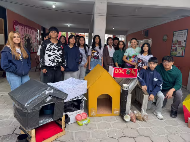 Estudiantes construyeron casas para perros callejeros.
