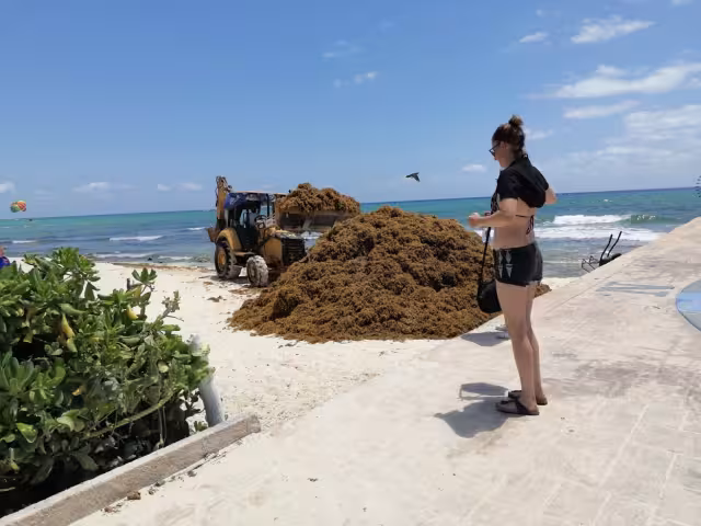 Playa del Carmen es una de los destinos turísticos que en 2021 se vio afectada por el recale masivo de sargazo en ciertos arenales