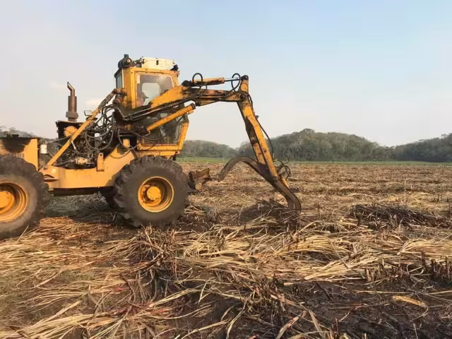 La cifra en toneladas de la zafra de caña de azúcar en Quintana Roo  colocó al Ingenio San Rafael de Pucté por debajo de Veracruz