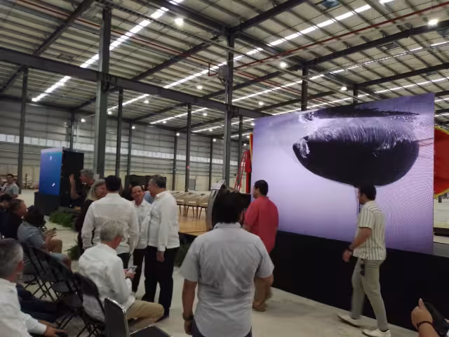 Warbird Marine Holdings se encargará de dar mantenimiento a embarcaciones de Yucatán