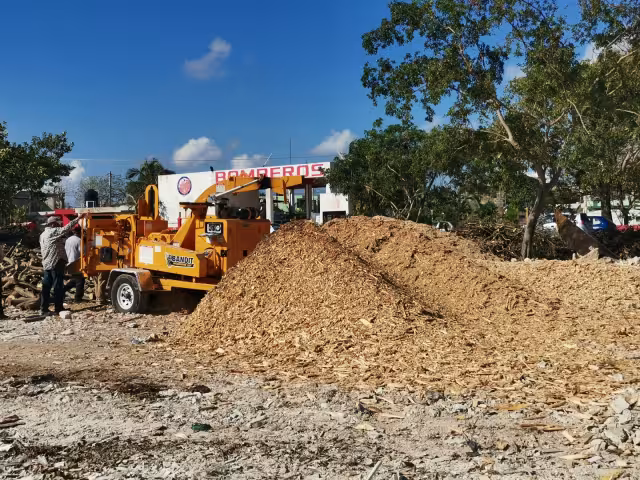 Según informes del ayuntamiento, hasta ahora se han levantado más de mil toneladas de estos residuos, Fotografía: Víctor Ávalos