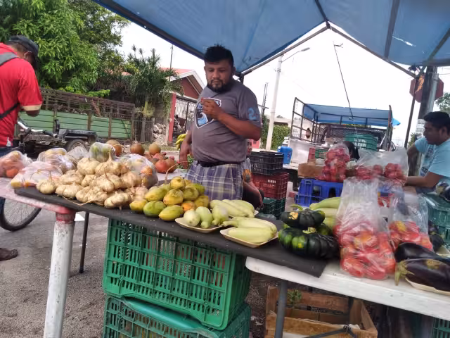 En Mérida existen alrededor de 20 tianguis en distintas zonas de la ciudad, según el INEGI