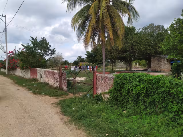 Sospechan de perros callejeros o tiguillos, pero vecinos sospechan del Huay Chivo