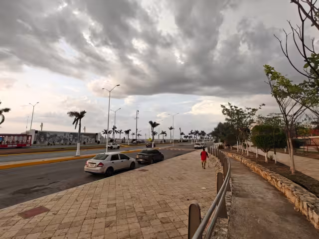Champotón, Seybaplaya, Campeche, Hopelchén y Calakmul podrían registrar precipitaciones de hasta 50 milímetros.