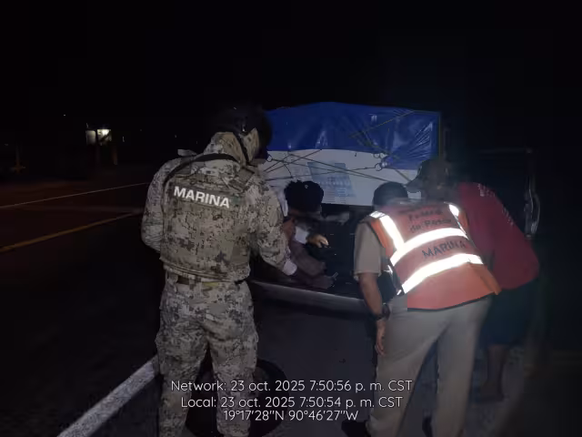 El cargamento de pulpo maya fue asegurado al no contar con documentación que acreditara su legal procedencia.