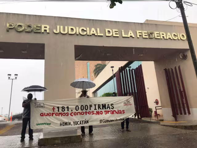 Entregarán las firmas en el Poder Judicial de la Federación