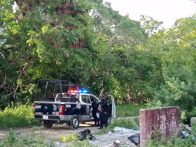 Al lugar llegaron elementos de la Policía Quintana Roo
