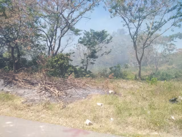 Un patio baldío se incendió en la colonia La Lupita de Sabancuy, Campeche.