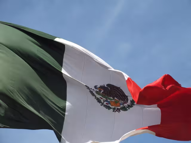El color verde de la bandera significa la esperanza del pueblo en el destino de su raza