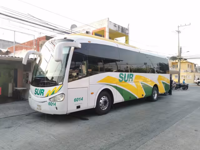 El chofer será investigado por transportar personas indocumentadas, siendo acusado por tráfico de personas