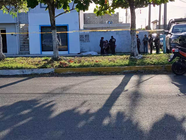 Detectan 100 casos irregulares de abogados que pretenden desalojar a residentes en Playa del Carmen