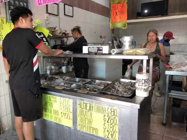 La calcomanía siempre será de color amarillo; sólo cambia la estacionalidad, es decir, el año y el semestre