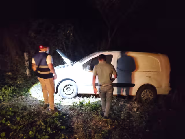 Tres reses muertas provocan caos vial en Pomuch