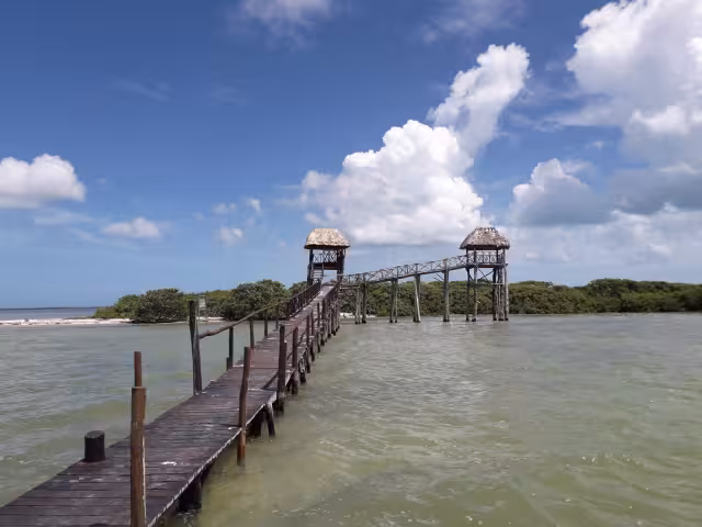 Las reservas naturales de Quintana Roo deben ser protegidas de la destrucción, y conservarlas lo mejor posible aseguró el Cemda