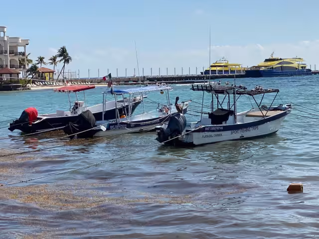 La posible afectación por la acumulación de sargazo representa un factor de riesgo para las expectativas económicas del sector