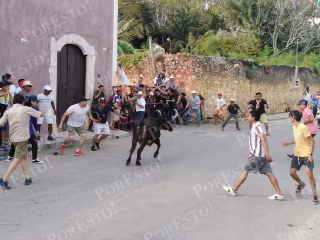 Los animales bravos pasaban a cornear a los aficionados taurinos