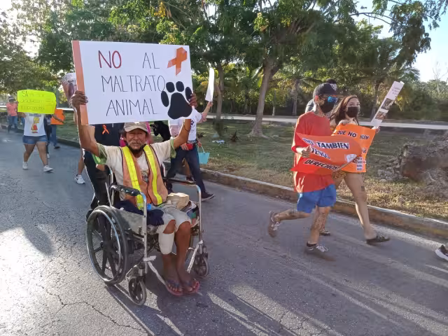 Hombres, mujeres y niños, con pancartas en mano, van pidiendo pare todo tipo de abuso que se ejerce en contra de los animales