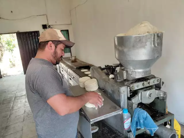 Nuevo aumento en el precio de la tortilla golpea a familias de Hopelchén