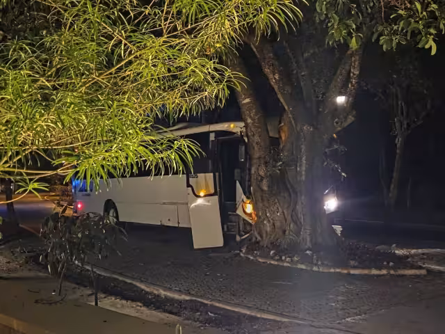Un camión se estrelló contra una palmera en Playa del Carmen.