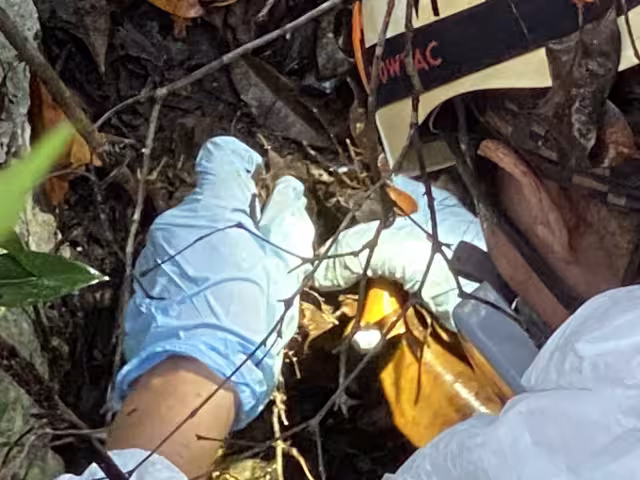 Tras una filtración en medios de comunicación, la FGE Q.Roo re conoció el hallazgo de fosas clandestinas en Alfredo V. Bonfil