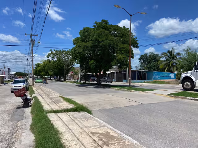 Los prestamistas colombianos mantienen atemorizados a los comerciantes de Campeche