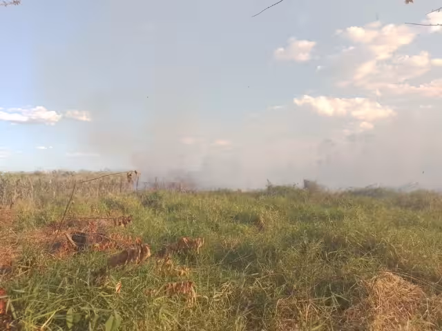 El incendio consumió varios campos de maiz y terrenos